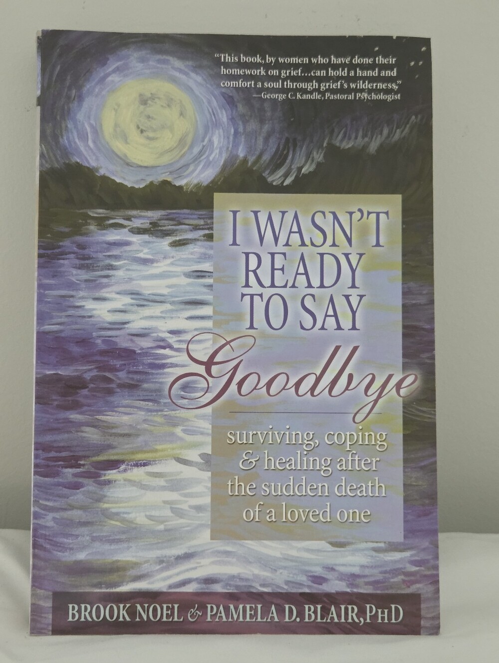 I WASN'T READY TO SAY GOODBYE BOOK